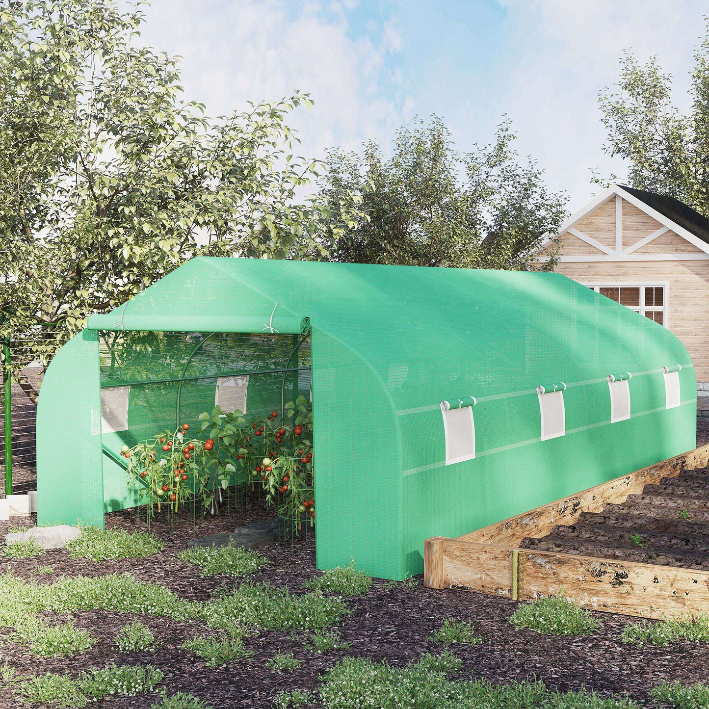 Polytunnel Greenhouse with Windows and Door, Walk in Greenhouse for Garden, Backyard (6 x 3 M)