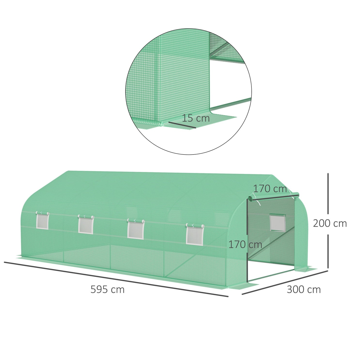 Polytunnel Greenhouse with Windows and Door, Walk in Greenhouse for Garden, Backyard (6 x 3 M)
