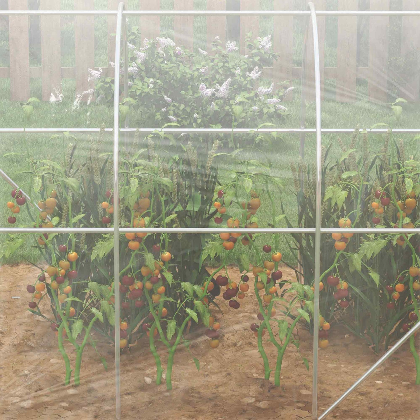 3 x 2 x 2m Polytunnel Greenhouse with 2 Hinged Door, Walk-in Grow House Tent with PE Cover and Galvanised Steel Frame, Clear