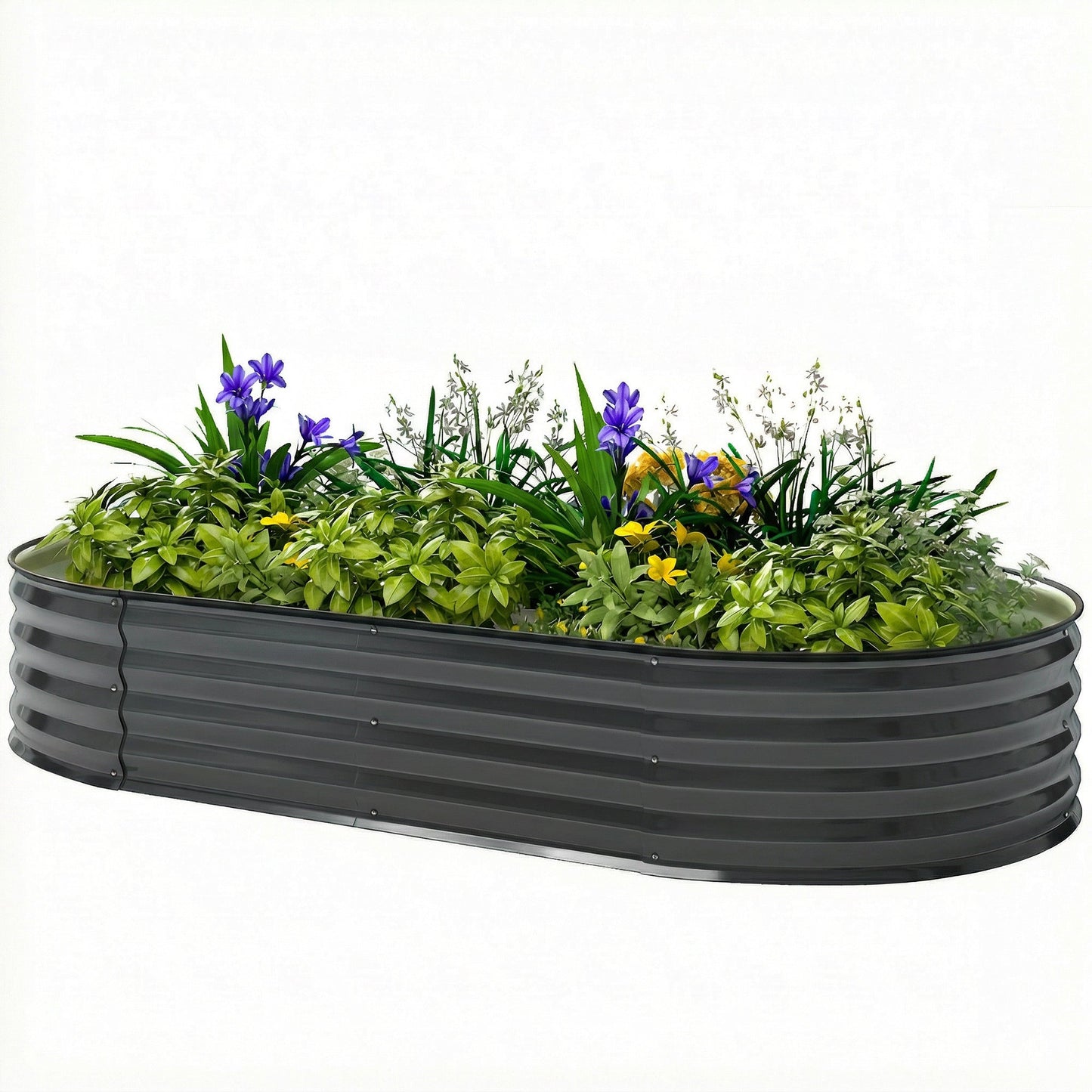 Galvanised Raised Beds for Garden, Metal Elevated Planter Box with Safety Edging, Easy DIY for Growing Flowers, Herbs, Succulents, 180 x 90 x 30cm, Dark Grey