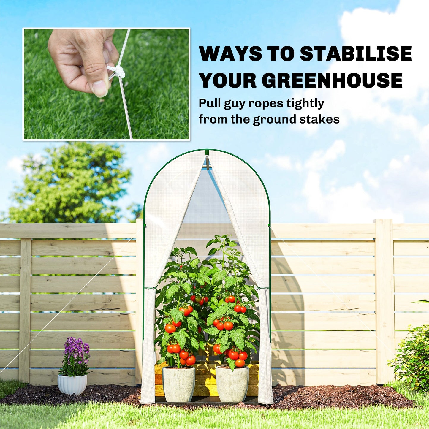 Mini Greenhouse, Portable Green House with Roll-Up Door, PE Base, Small Greenhouse for Garden Patio, 100 x 100 x 195 cm, White
