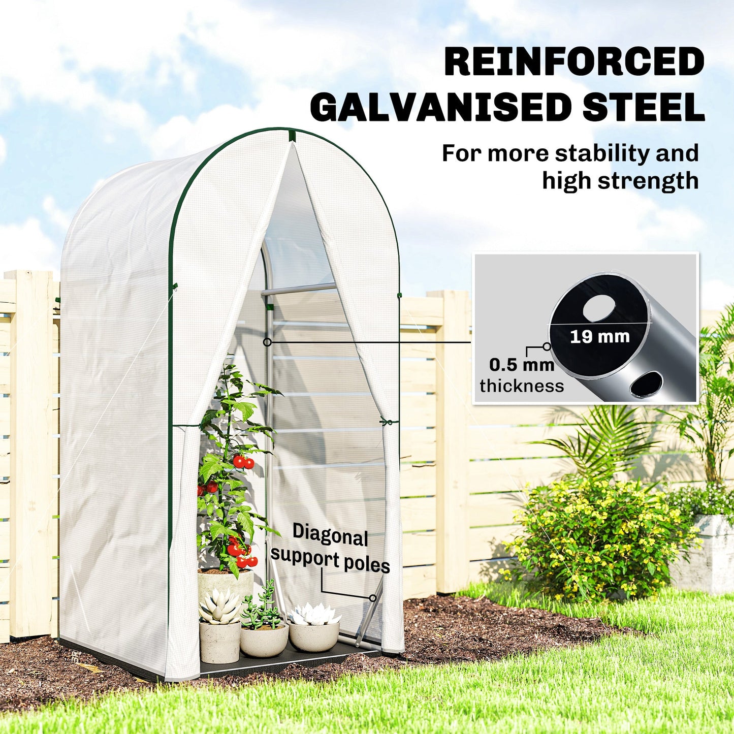 Mini Greenhouse, Portable Green House with Roll-Up Door, PE Base, Small Greenhouse for Garden Patio, 100 x 100 x 195 cm, White
