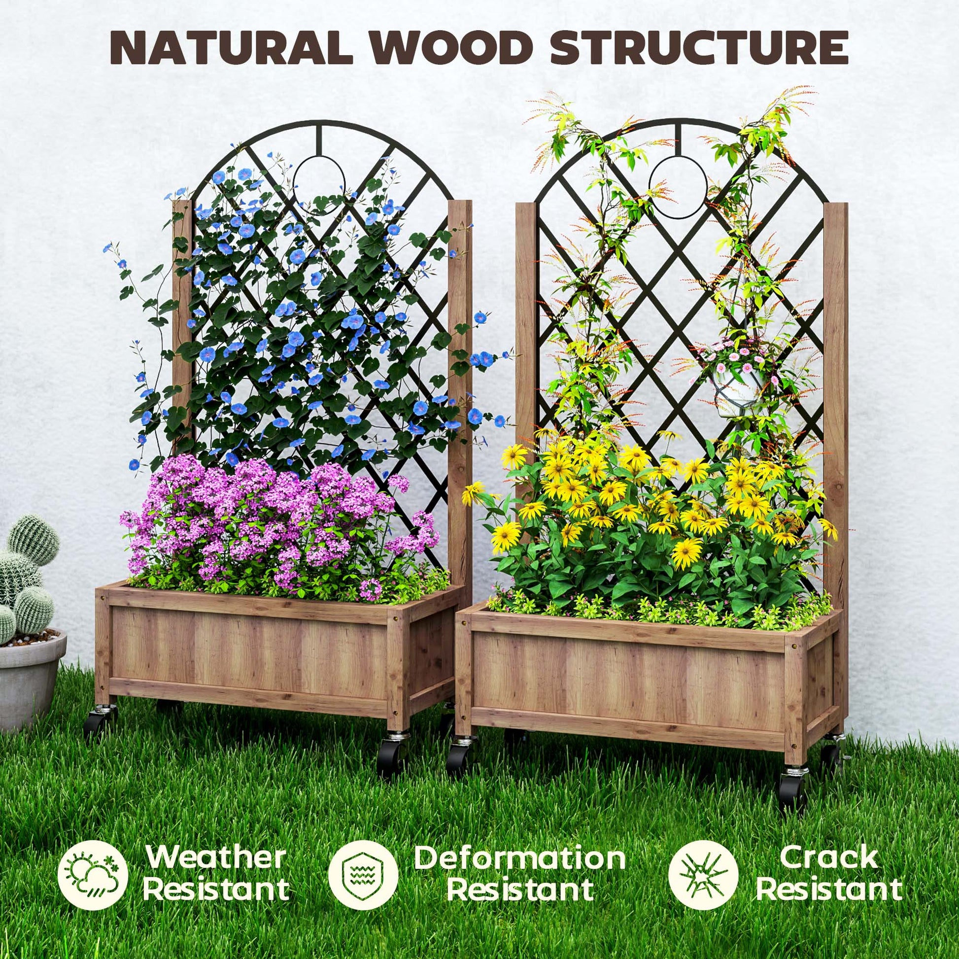 Raised Garden Bed with Metal Trellis, Pack of 2 Wooden Elevated Planter Box with Wheels and Drainage Holes, Outdoor Raised Planter for Climbing Plants, Fruits, Vegetables, Flowers, Brown