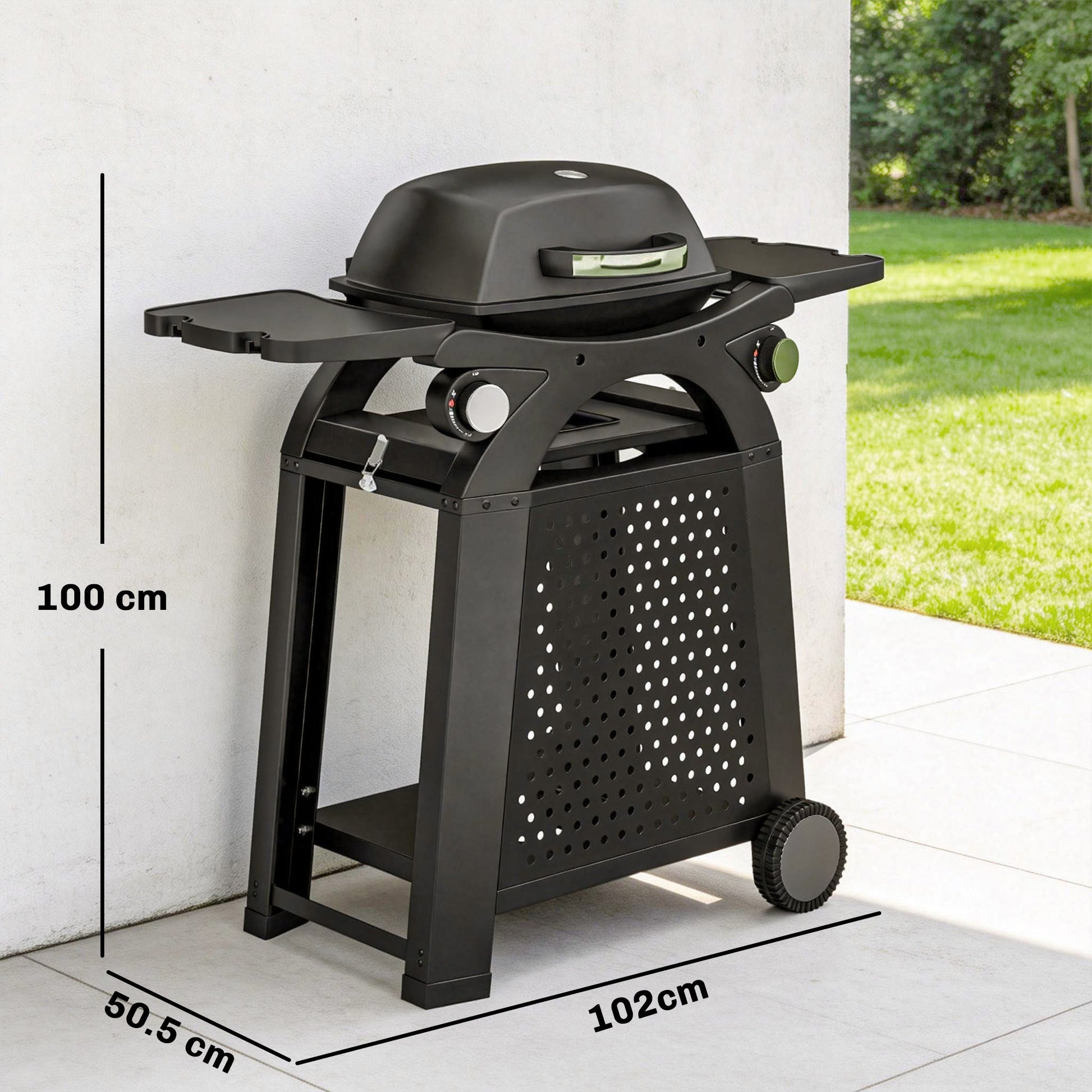 2 Burner Gas Grill with 2 Detachable Side Tables, 3.8 KW Steel Barbecue Grill with Cast Iron Grates, 2-in-1 Portable Tabletop BBQ with Wheels, Thermometer, Grease Tray, Hooks, Black