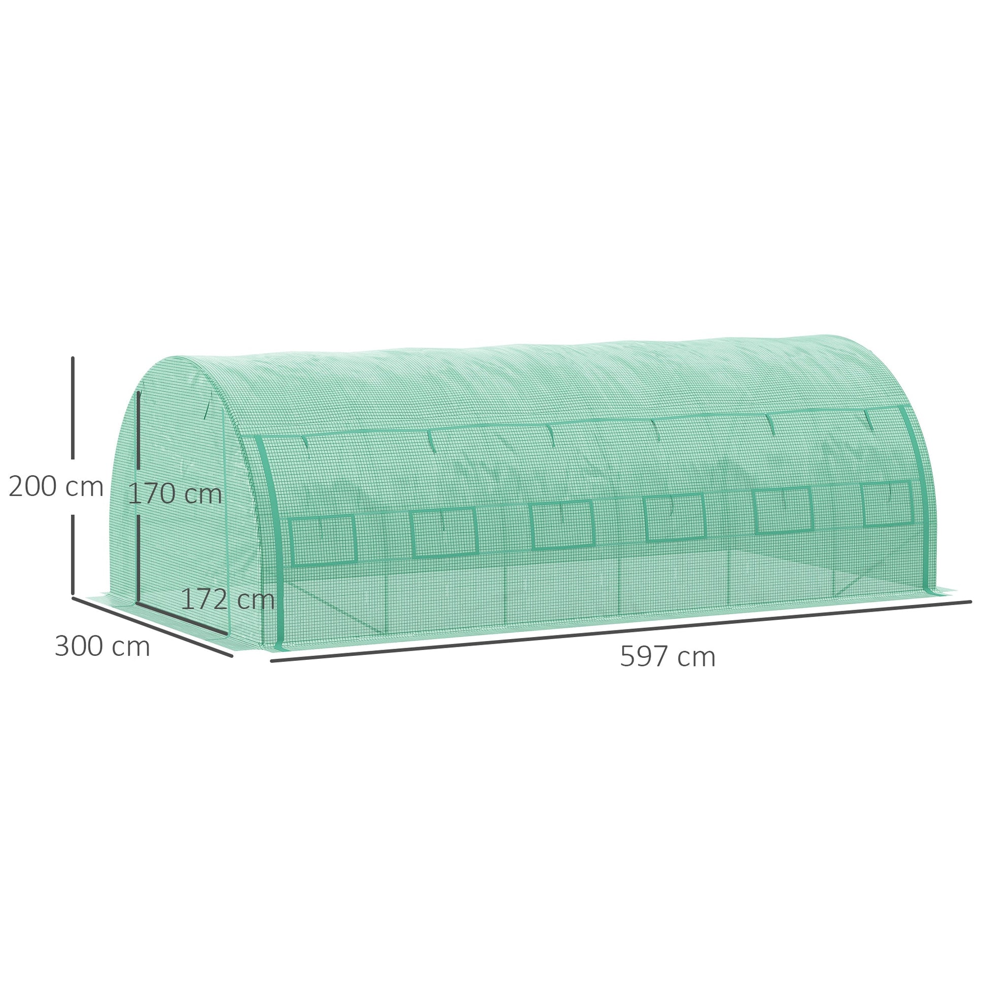 6 x 3 x 2 m Polytunnel Greenhouse with Roll-up Side Walls, Walk-in Grow House Tent with Steel Frame, Reinforced Cover, Zipped Door and 12 Mesh Windows for Garden, Green